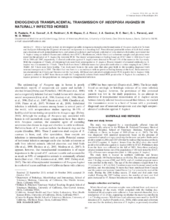 ir_1826_obj-Thumbnail Image.png