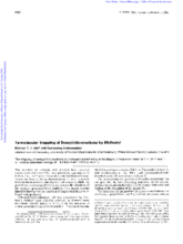 ir_ir-batch6-1455_obj-Thumbnail Image.png