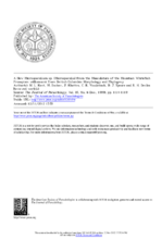 ir_ir-batch6-3694_obj-Thumbnail Image.png